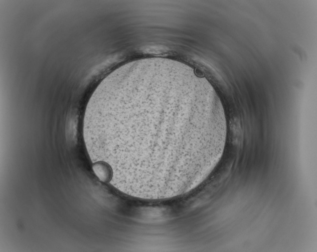 X0000113260404200910081343
