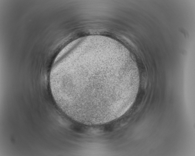 X0000113260405200910081343