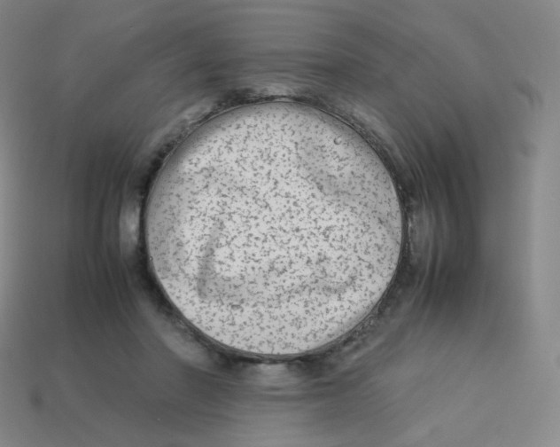 X0000113260406200910081343