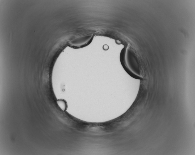 X0000113260407200910081343