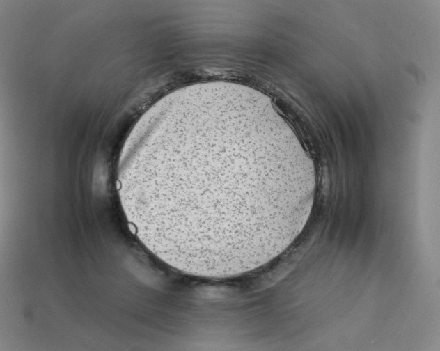 X0000113260408200910081343