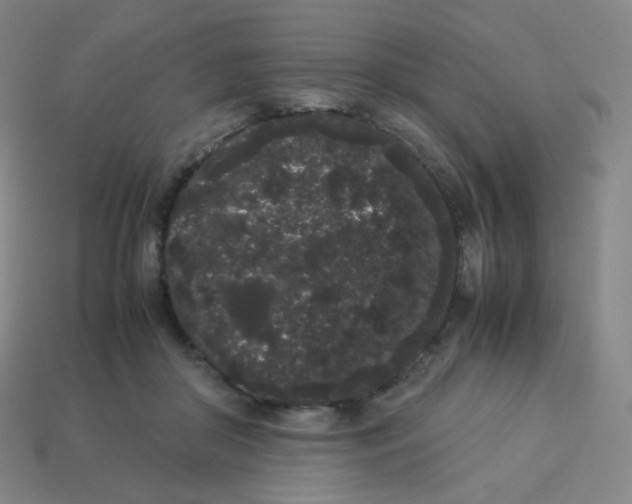 X0000113260410200910081343