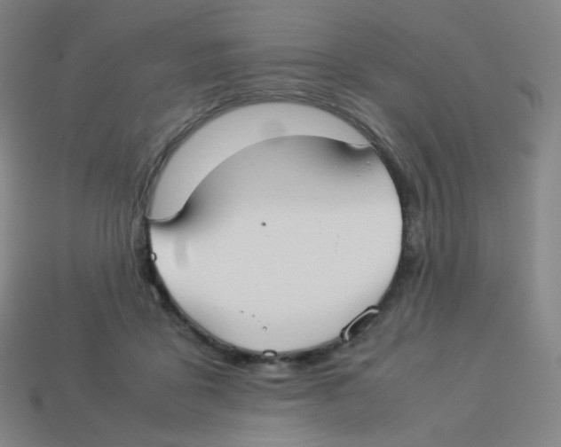 X0000113260411200910081343