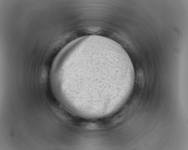 X0000113260412200910081343