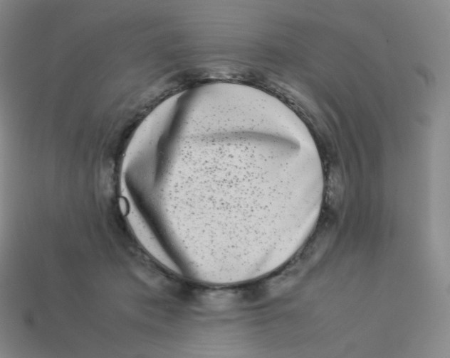 X0000113260413200910081343