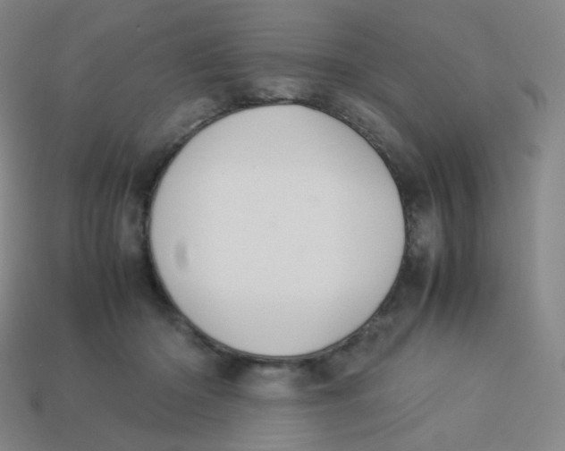 X0000113260414200910081343