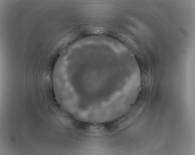 X0000113260415200910081343