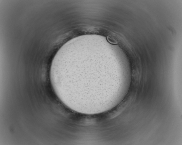 X0000113260416200910081343
