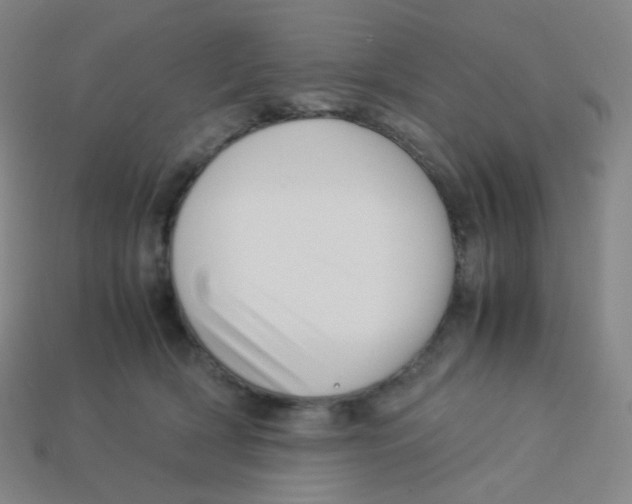 X0000113260418200910081343
