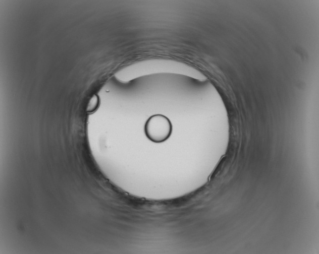 X0000113260419200910081343