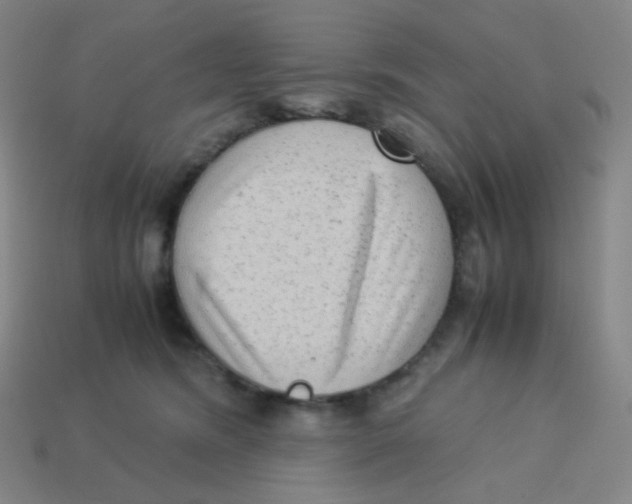 X0000113260420200910081343