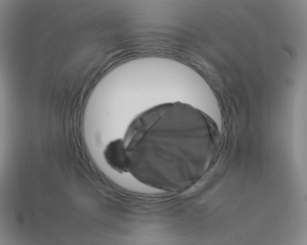 X0000113260421200910081343