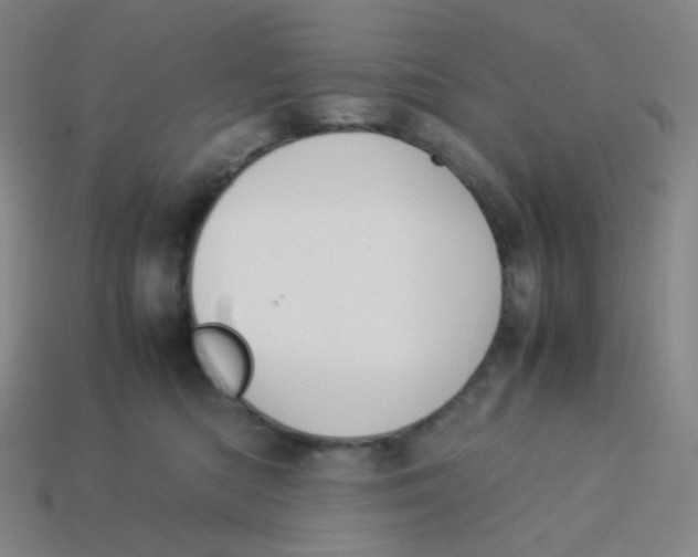 X0000113260422200910081343