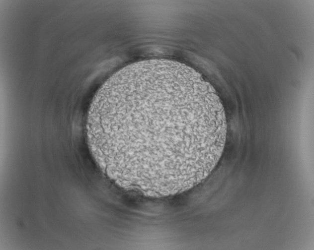 X0000113260423200910081343