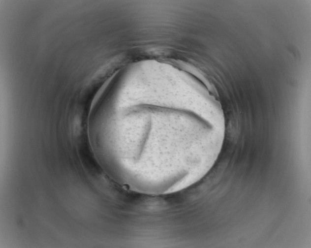 X0000113260424200910081343