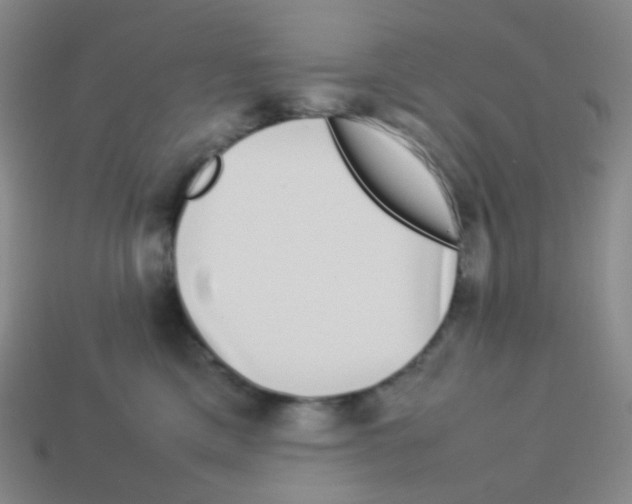 X0000113260425200910081343