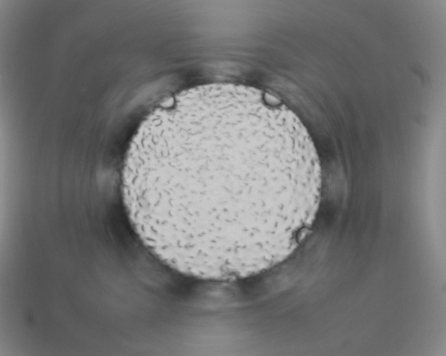X0000113260427200910081343