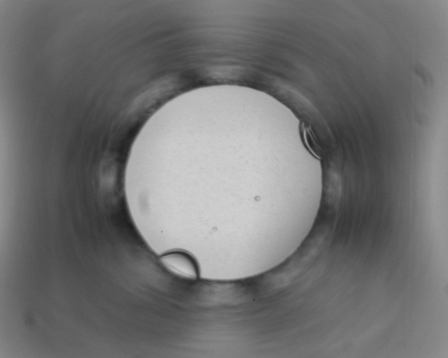 X0000113260428200910081343