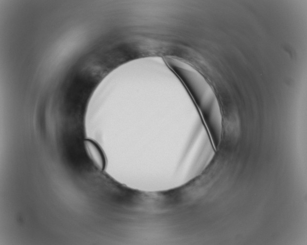 X0000113260429200910081343