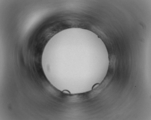 X0000113260430200910081343