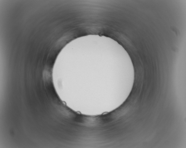 X0000113260432200910081343