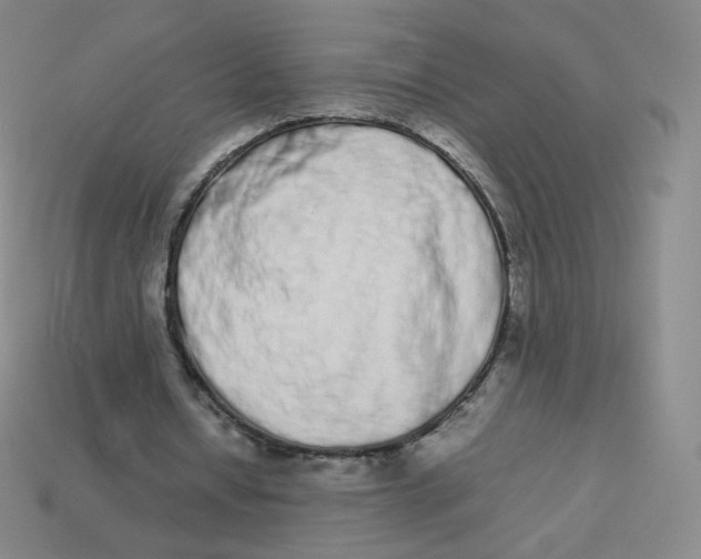 X0000113260434200910081342