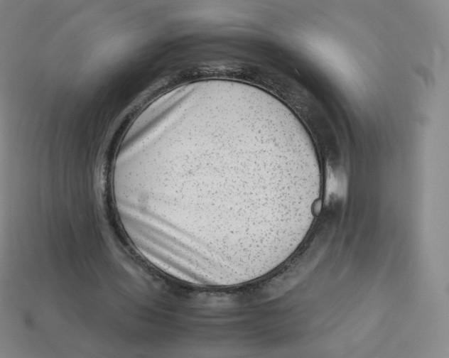 X0000113260435200910081342