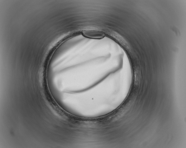 X0000113260436200910081342