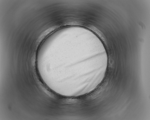 X0000113260437200910081342