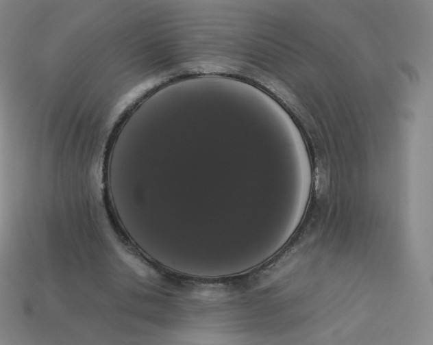 X0000113260438200910081342