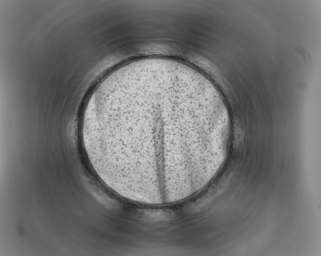 X0000113260439200910081342