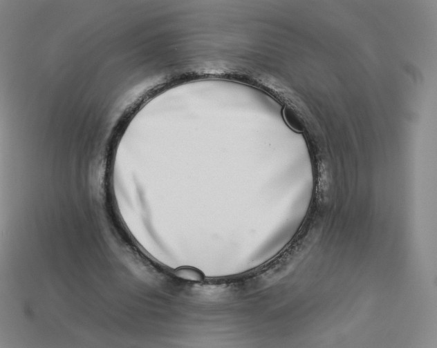 X0000113260440200910081342