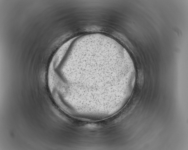 X0000113260441200910081342