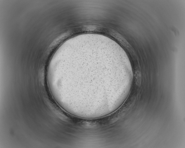 X0000113260442200910081342