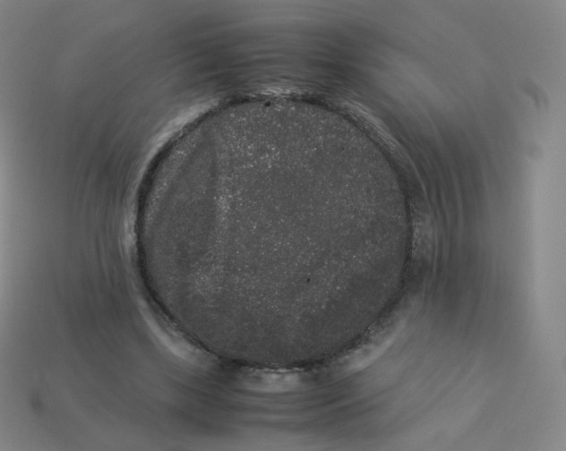 X0000113260443200910081342