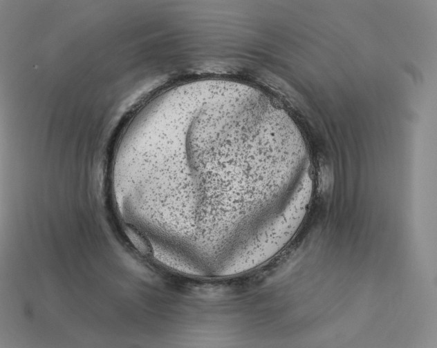 X0000113260444200910081342