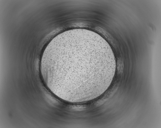 X0000113260445200910081342