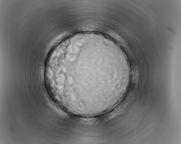 X0000113260446200910081343