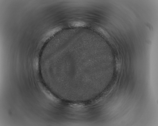 X0000113260447200910081343
