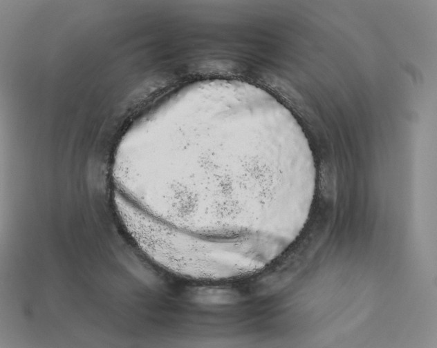 X0000113260449200910081343