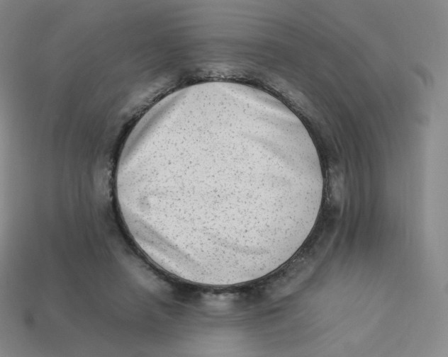 X0000113260450200910081343