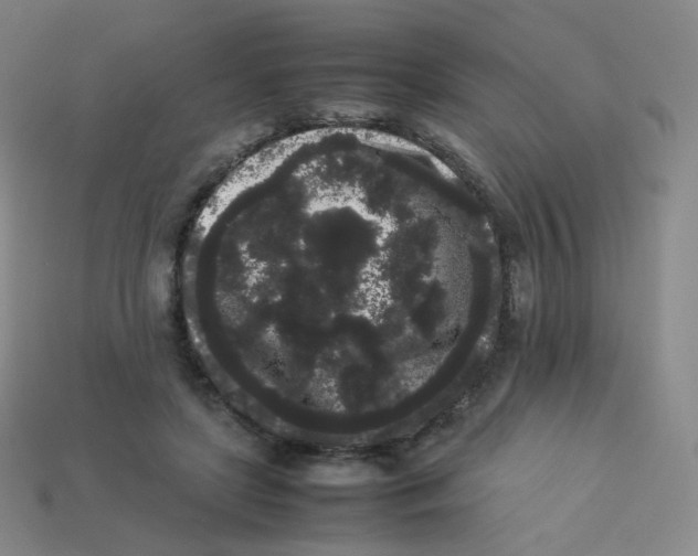 X0000113260451200910081343