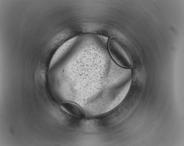 X0000113260452200910081343