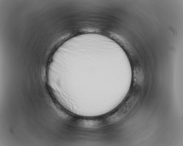 X0000113260453200910081343
