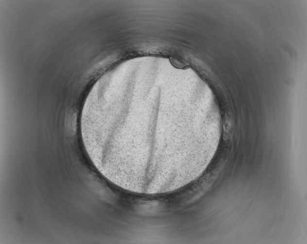 X0000113260454200910081343
