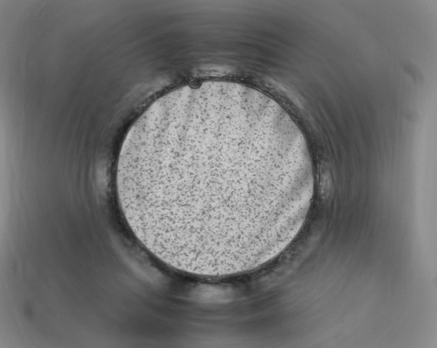 X0000113260455200910081343