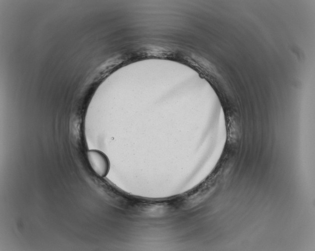 X0000113260456200910081343