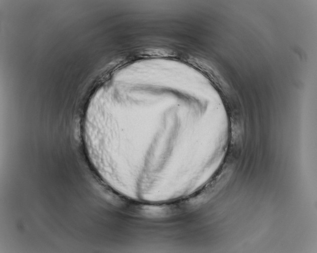 X0000113260457200910081343
