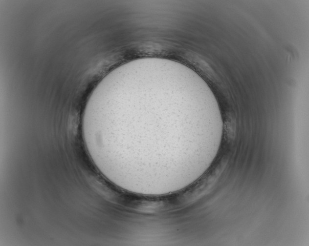 X0000113260458200910081343