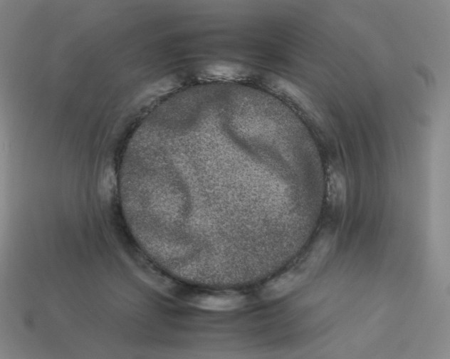 X0000113260459200910081343